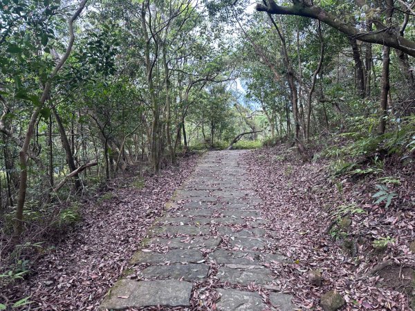 臺北大縱走第五段：捷運劍潭站至碧山巖2751304