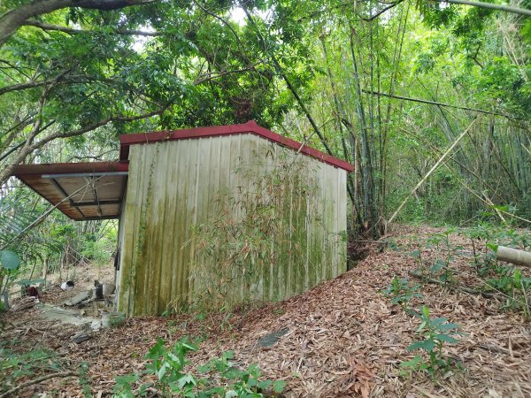 [台南龍崎][四]楠子坑山