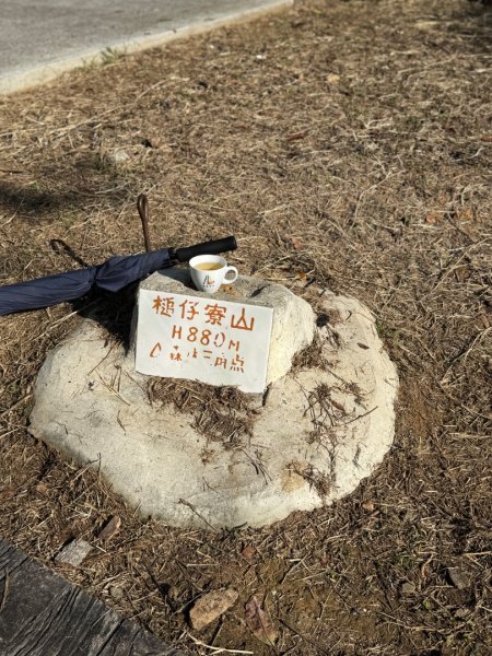 金龍山看山嵐風情2679525