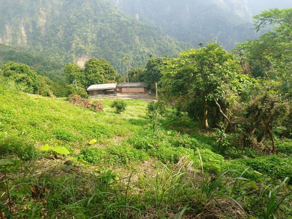 嘉義獨立山2983733