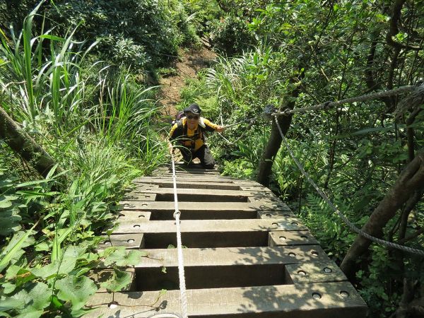 獅仔頭山隘勇古道Ｏ型209975