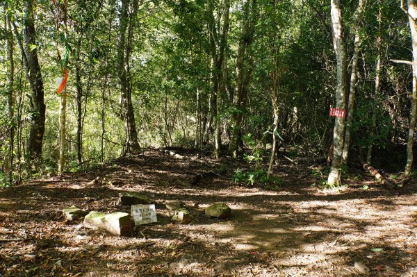 新竹 尖石 屯野生台山、石麻達山、錦屏山2904260