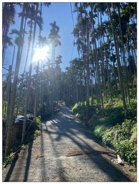 雨後頭縱走 (日月潭)2694392