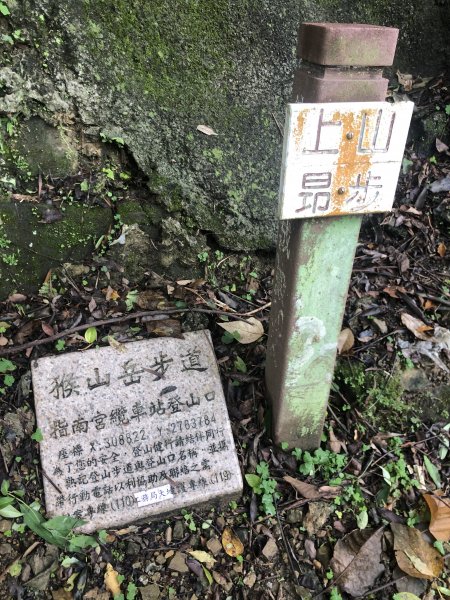 第七段 世界山莊-飛龍步道政大後山1587800