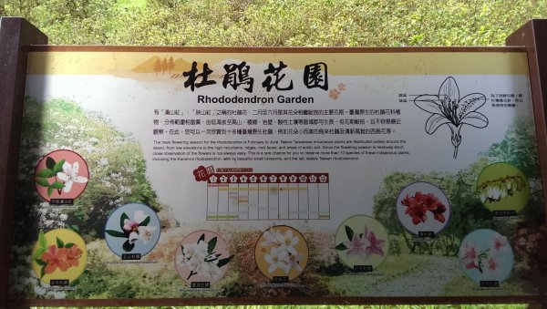 福山植物園964652