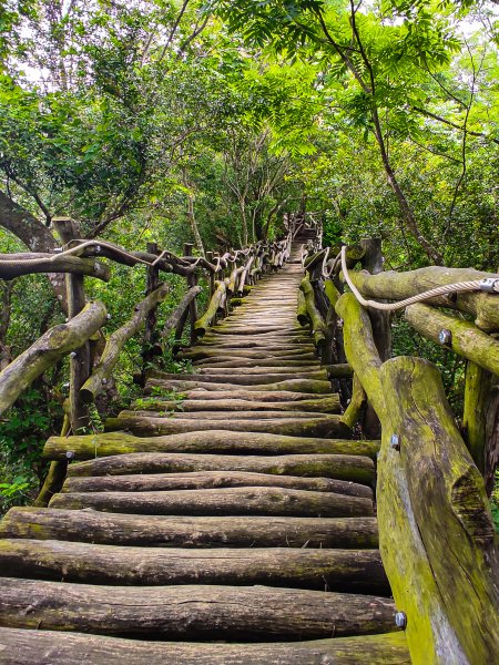 大坑3號登山步道1684739