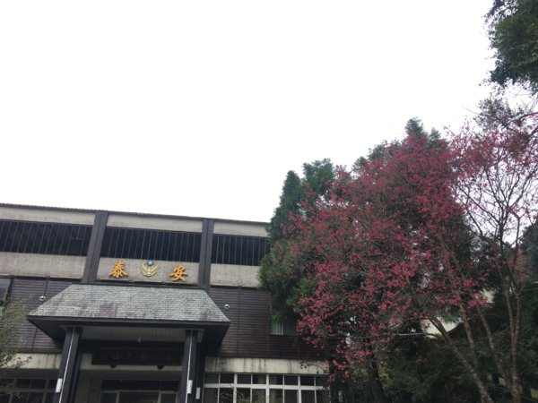 鳥嘴山（上島2708547