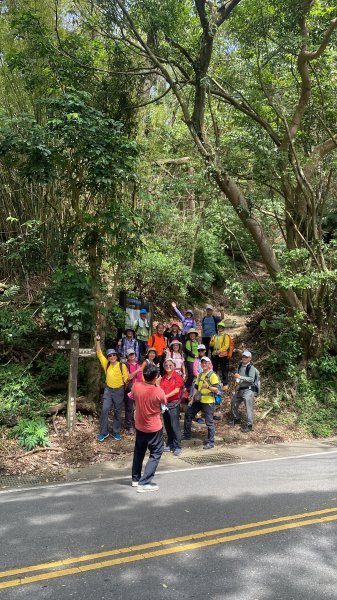 如墨暈染的春日邂逅｜中山樓墨染櫻 × 北投步道探花記2853885