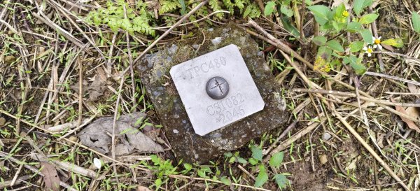 2026/03/08-毘盧禪寺步道+七星崗3013890