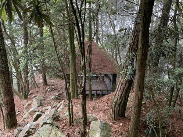 鳶嘴山（台中市和平區）2509677