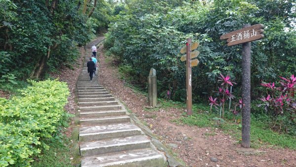 桃園蘆竹-五酒桶山步道958319