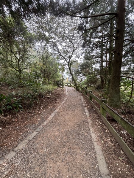 陽明山東西大縱走-東段2984550