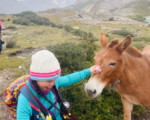 川藏33天深度之旅💙#稻城亞丁-來古冰川2901866