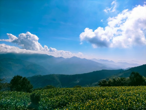 雲嘉連峰2365724