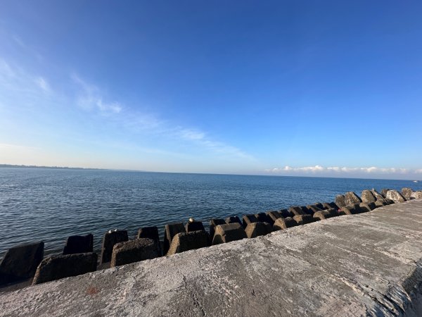 永安漁港、新屋海濱植物園2657300