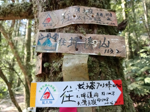 雙溪區坪溪古道-蛇仔崙-鶯子嶺-太和山-蛇子頭觀景台-梗枋越嶺古道鞍部-坪溪古道O型3029751