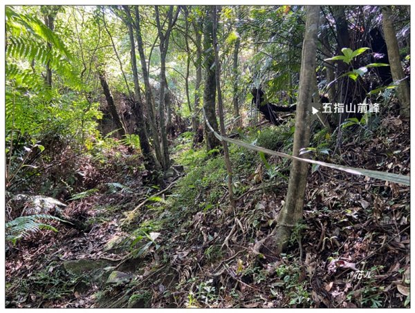 五指山、內雙溪山、香對山、梅花山9基石連走3077365