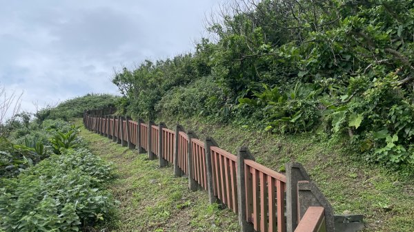 基隆的十八傘人家族2782869