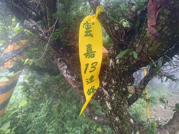 雲嘉十八連峰2589562