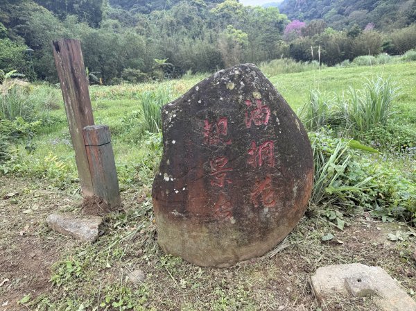 [樟之細路_第一大段RSA08] 2026_0328 小粗坑古道3025757