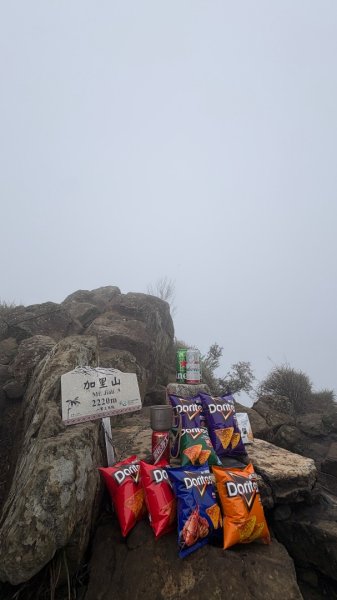 加里山3042813