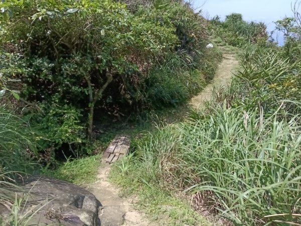 瑞芳區海園古道+鼻頭山稜+門牙岩O型2768339