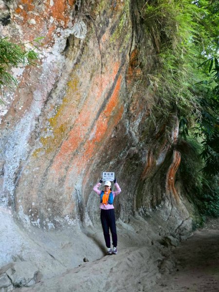 20250913_三峽鳶山爬山趣2882752