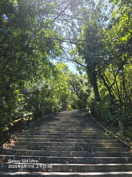 2025-08-17臺北大縱走第七段：世界山莊至飛龍步道政大後山2862371