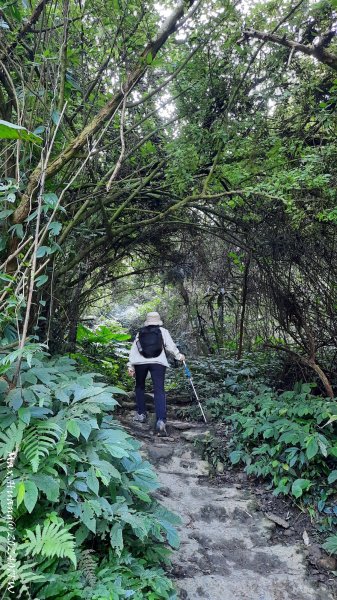 《桃園》一等郊山｜石門山登山步道O繞202401062397562