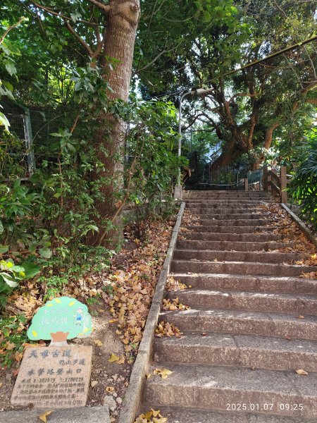 天母→猴洞→半嶺→翠峰步道→翠峰瀑布→天母古道→陽明天主堂2685113