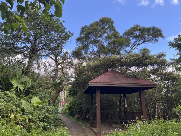 2024_1020 貴子坑親山步道2634246