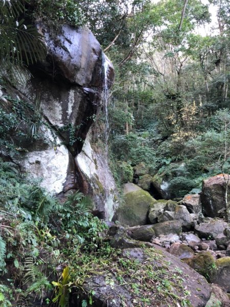 俯瞰石門水庫絕佳視角的外鳥嘴山513765