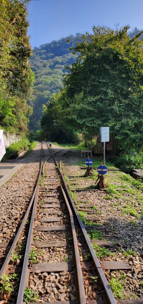 2022-03-05獨立山國家步道、阿拔泉山、觀音石山1631261