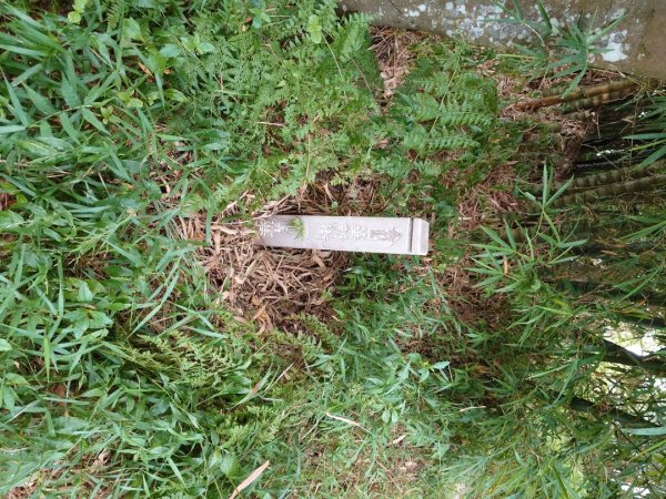 微笑山線之烘爐地任務2836469