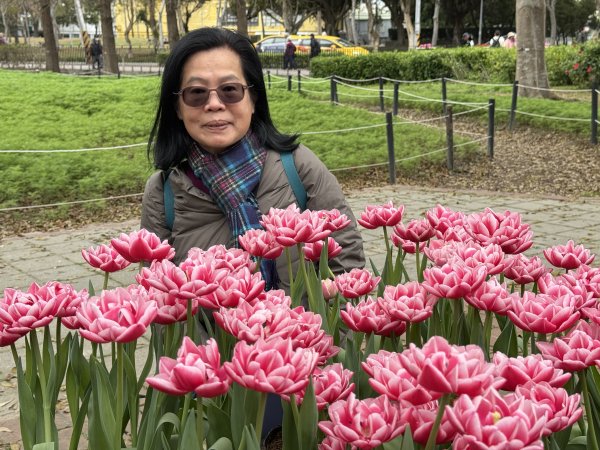 士林官邸~鬱金香2717325