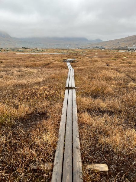 Norway-FINSE-Hardangervidda冰河高原健行-未竟2917790