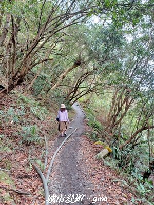 【南投仁愛】武界部落采風2972897