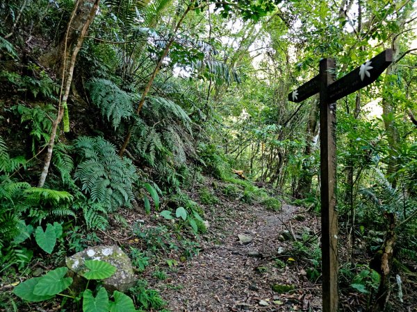 枋山坑古道(淡蘭中路)-新北市坪林區2882702