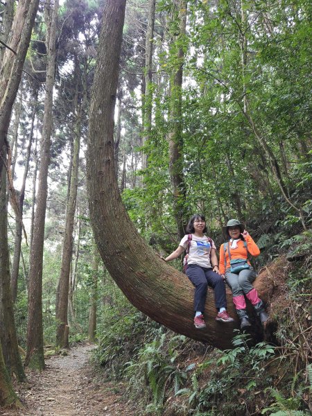 20250817橫笛沙O繞2890034