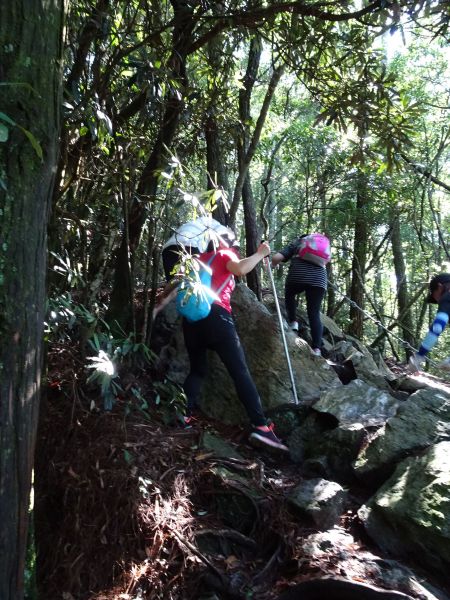 中級山尋幽~台中和平區鳶嘴山(第5次)378770