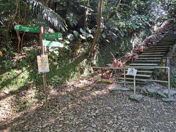 宜蘭七星嶺，松羅，見晴懷古步道3136192