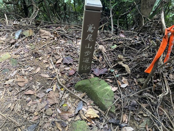 2025微笑山線大縱走尋寶集章任務-Ep.03【鳶山山系】鳶山彩壁段2893719