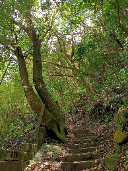 陽明醫院舊址、陽明山前山公園、紗帽山步道、紗帽路、臺北市教師研習中心【走遍陽明山】2121941