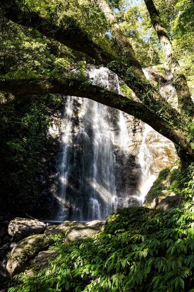 滿月圓森林步道2870095