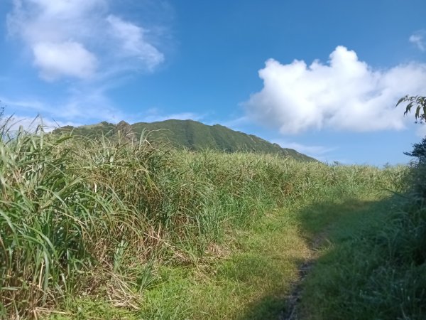 瑞芳區驚險驚嚇+短暫迷途的半屏大瀑布(瀑布稜)+小錐麓古道2886040