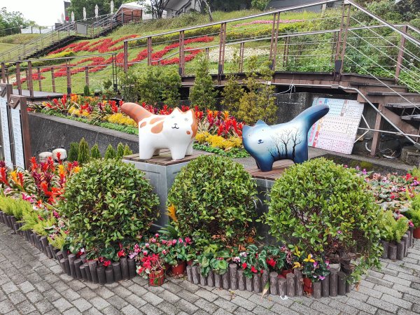 臺北大縱走第七段&第八段3019196