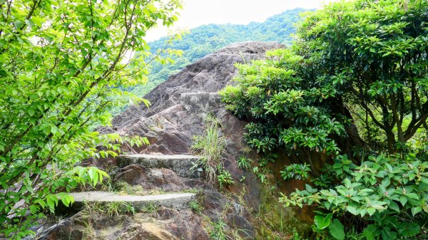 黃金水圳,黃金洞,黃金台。重銘說2775289