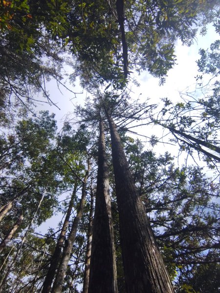守關山南峰 守關山 守城大山2919117