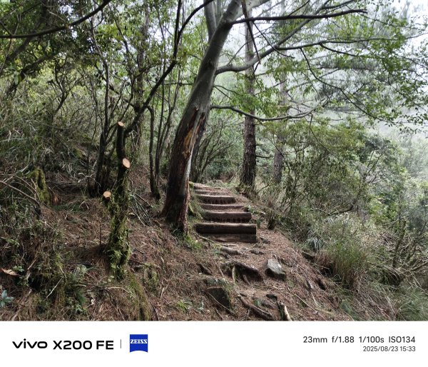 [玉山尋寶任務-06/12] 2025_0823 東埔山步道2870138