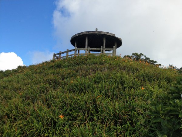 太麻里山(小百岳#94)《金針花季末期》1467632